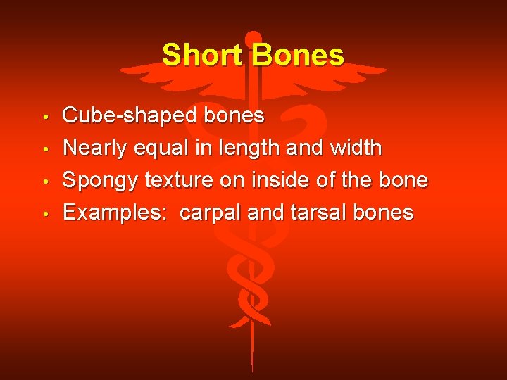 Short Bones • • Cube-shaped bones Nearly equal in length and width Spongy texture