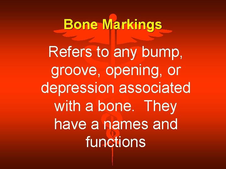 Bone Markings Refers to any bump, groove, opening, or depression associated with a bone.