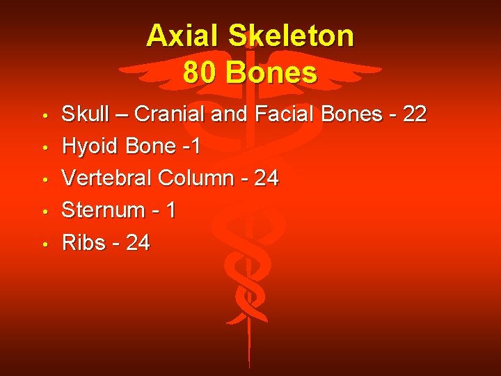 Axial Skeleton 80 Bones • • • Skull – Cranial and Facial Bones -