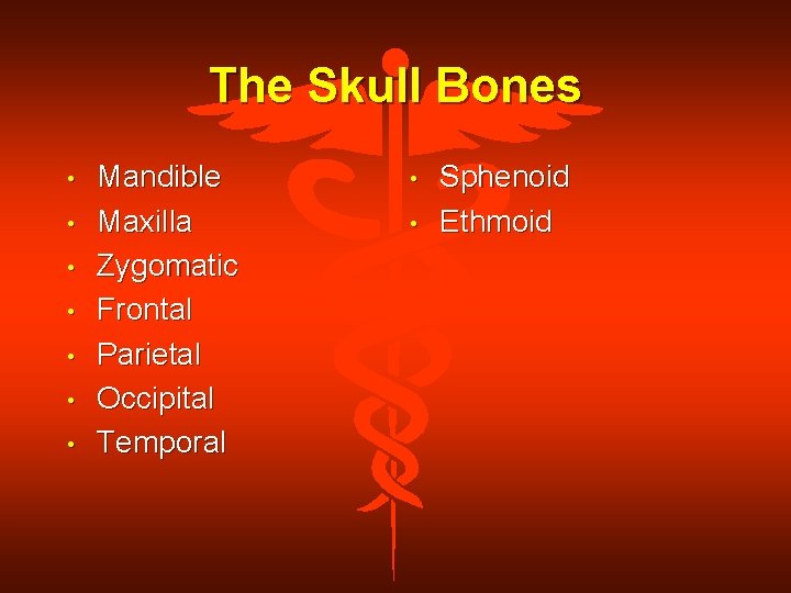 The Skull Bones • • Mandible Maxilla Zygomatic Frontal Parietal Occipital Temporal • •