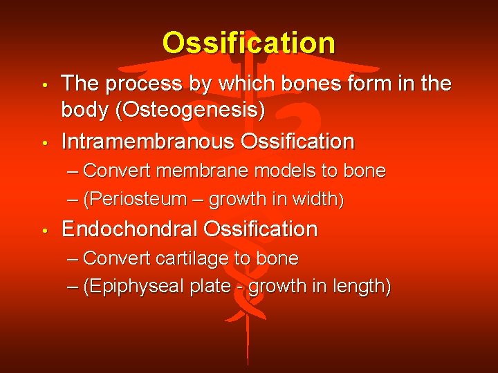 Ossification • • The process by which bones form in the body (Osteogenesis) Intramembranous