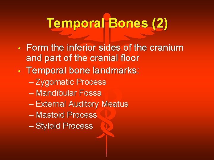 Temporal Bones (2) • • Form the inferior sides of the cranium and part