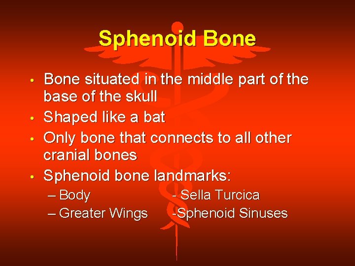 Sphenoid Bone • • Bone situated in the middle part of the base of