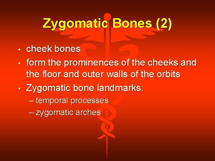 Zygomatic Bones (2) • • • cheek bones form the prominences of the cheeks