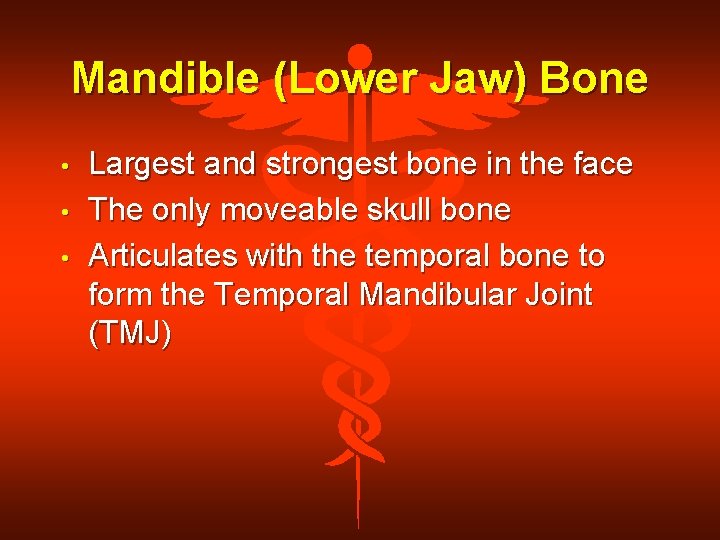 Mandible (Lower Jaw) Bone • • • Largest and strongest bone in the face