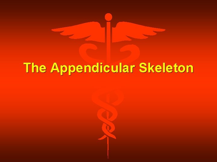 The Appendicular Skeleton 