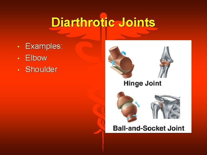Diarthrotic Joints • • • Examples: Elbow Shoulder 