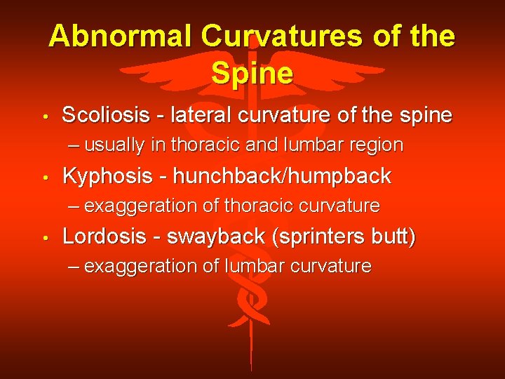 Abnormal Curvatures of the Spine • Scoliosis - lateral curvature of the spine –
