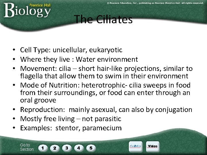 The Ciliates • Cell Type: unicellular, eukaryotic • Where they live : Water environment