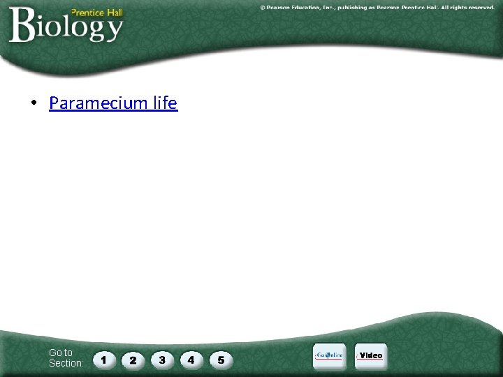  • Paramecium life Go to Section: 