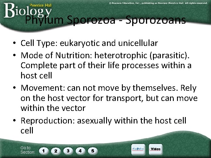 Phylum Sporozoa - Sporozoans • Cell Type: eukaryotic and unicellular • Mode of Nutrition: