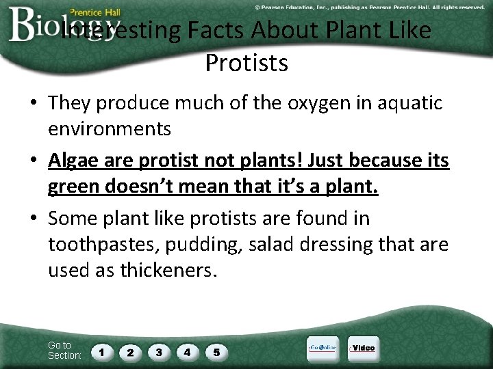 Interesting Facts About Plant Like Protists • They produce much of the oxygen in