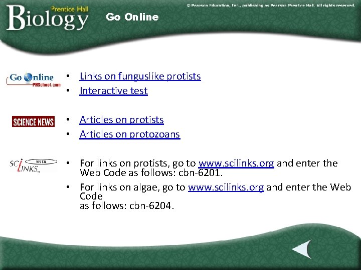 Go Online • Links on funguslike protists • Interactive test • Articles on protists