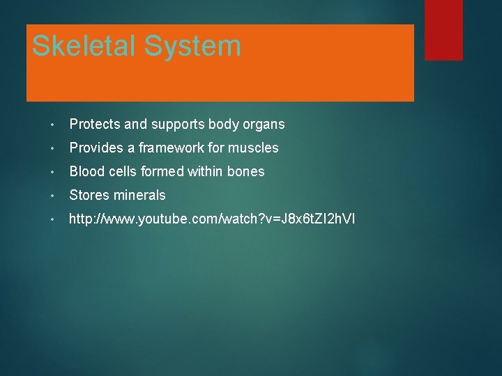 Skeletal System • Protects and supports body organs • Provides a framework for muscles