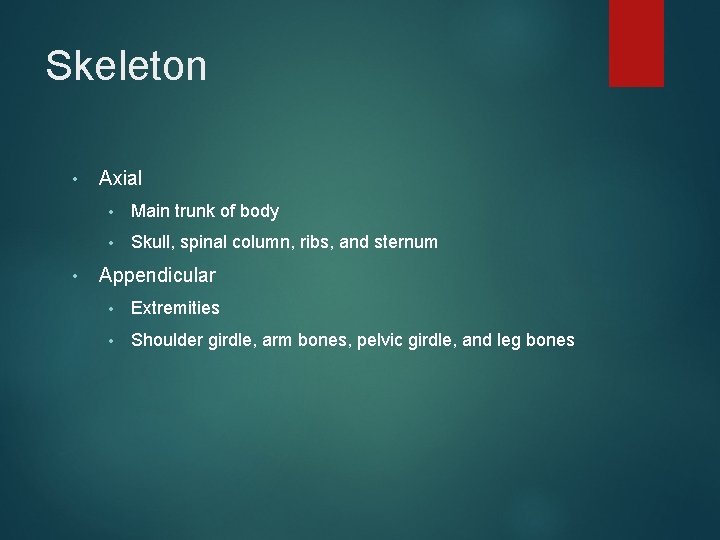 Skeleton • • Axial • Main trunk of body • Skull, spinal column, ribs,