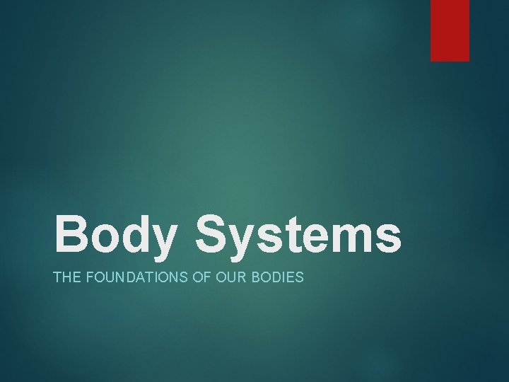 Body Systems THE FOUNDATIONS OF OUR BODIES 