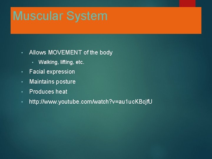 Muscular System • Allows MOVEMENT of the body • Walking, lifting, etc. • Facial