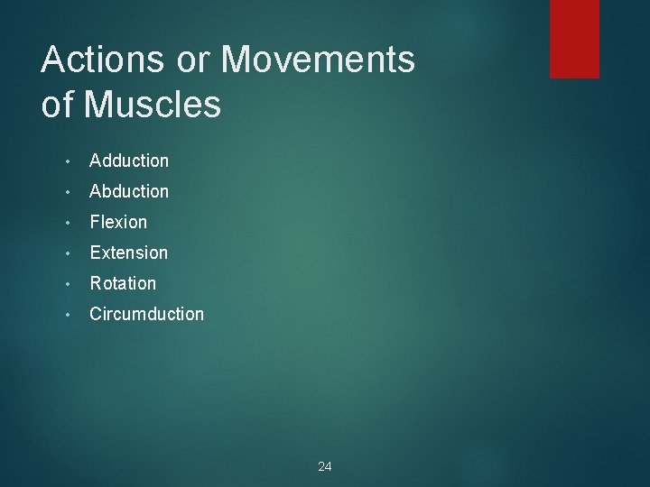 Actions or Movements of Muscles • Adduction • Abduction • Flexion • Extension •