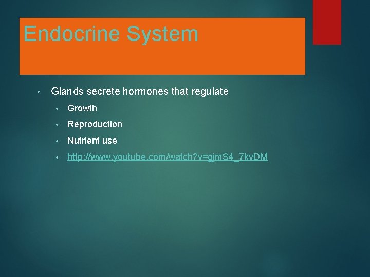 Endocrine System • Glands secrete hormones that regulate • Growth • Reproduction • Nutrient