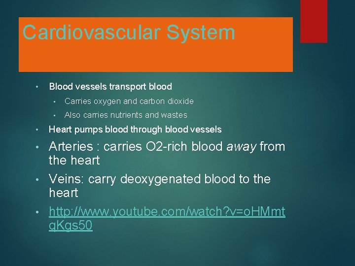 Cardiovascular System • • Blood vessels transport blood • Carries oxygen and carbon dioxide