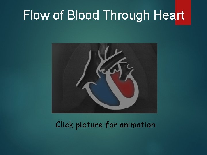 Flow of Blood Through Heart Click picture for animation 