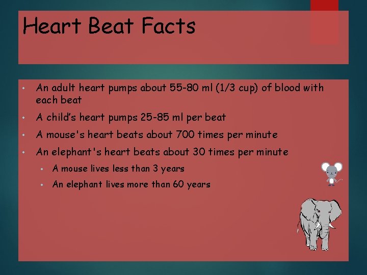 Heart Beat Facts • An adult heart pumps about 55 -80 ml (1/3 cup)