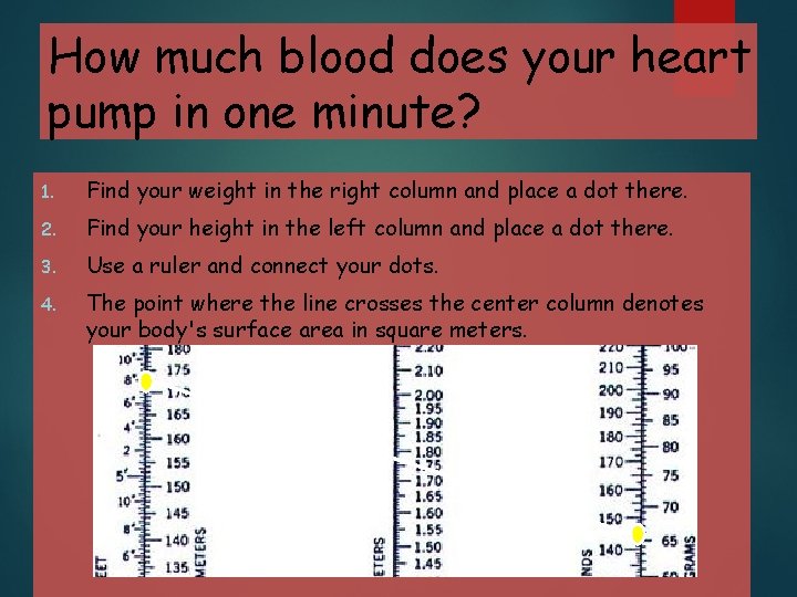 How much blood does your heart pump in one minute? 1. Find your weight