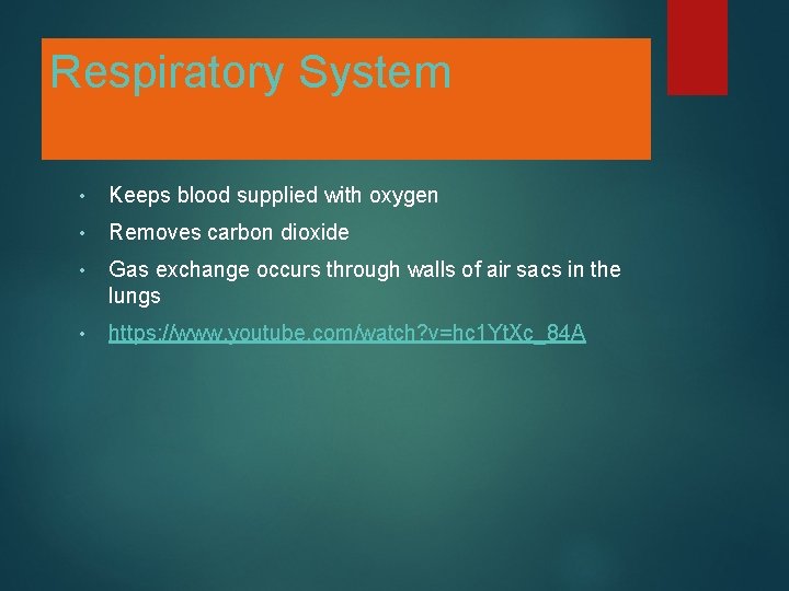 Respiratory System • Keeps blood supplied with oxygen • Removes carbon dioxide • Gas