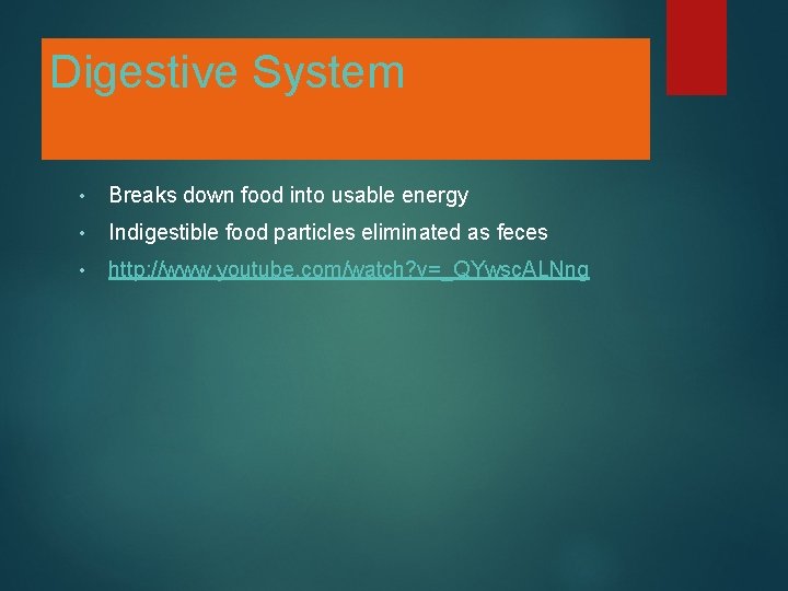 Digestive System • Breaks down food into usable energy • Indigestible food particles eliminated