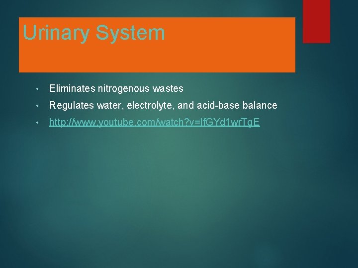Urinary System • Eliminates nitrogenous wastes • Regulates water, electrolyte, and acid-base balance •