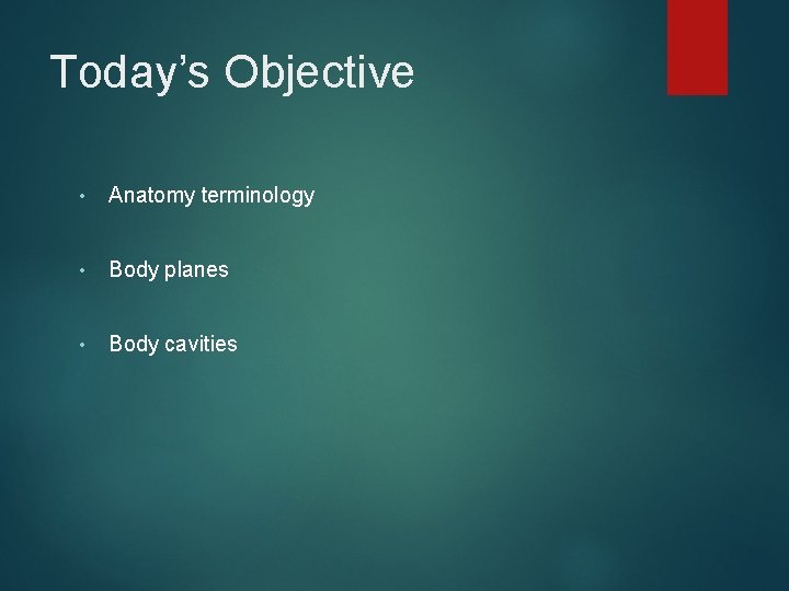 Today’s Objective • Anatomy terminology • Body planes • Body cavities 