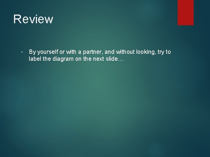 Review • By yourself or with a partner, and without looking, try to label