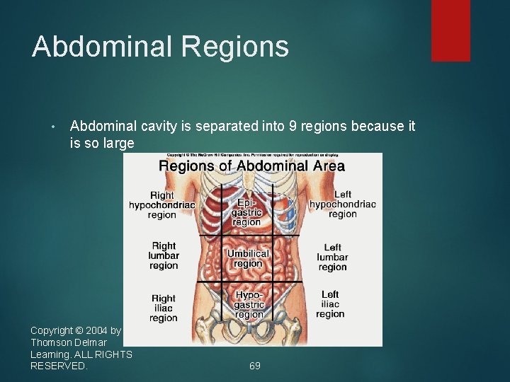 Abdominal Regions • Abdominal cavity is separated into 9 regions because it is so