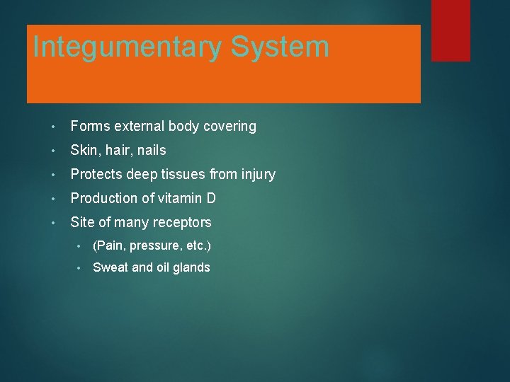 Integumentary System • Forms external body covering • Skin, hair, nails • Protects deep
