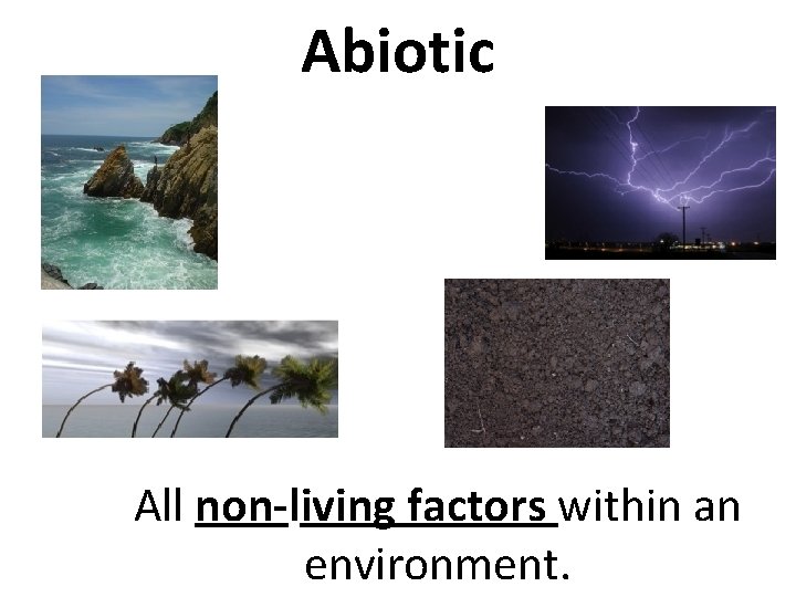 Abiotic All non-living factors within an environment. 