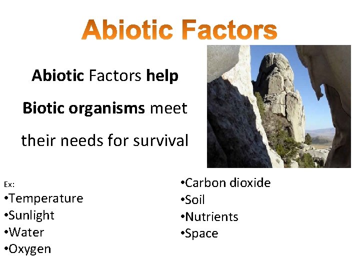 Abiotic Factors help Biotic organisms meet their needs for survival Ex: • Temperature •