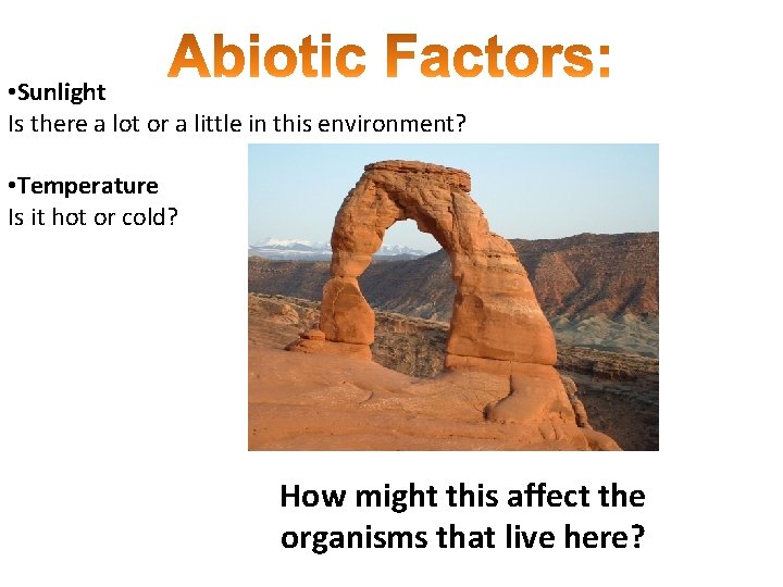  • Sunlight Is there a lot or a little in this environment? •