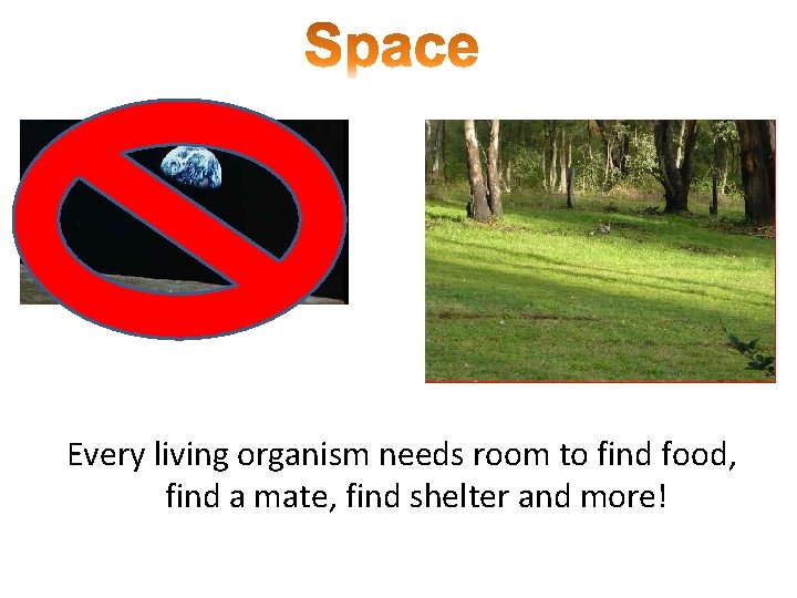 Every living organism needs room to find food, find a mate, find shelter and