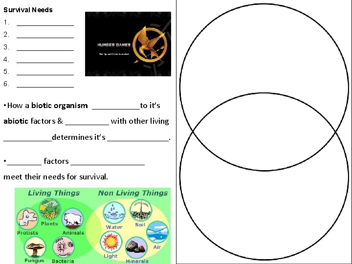 Survival Needs 1. ________ 2. ________ 3. ________ 4. ________ 5. ________ 6. ________