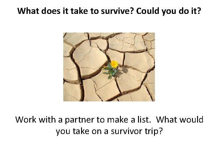What does it take to survive? Could you do it? Work with a partner