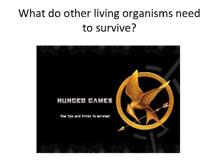 What do other living organisms need to survive? 