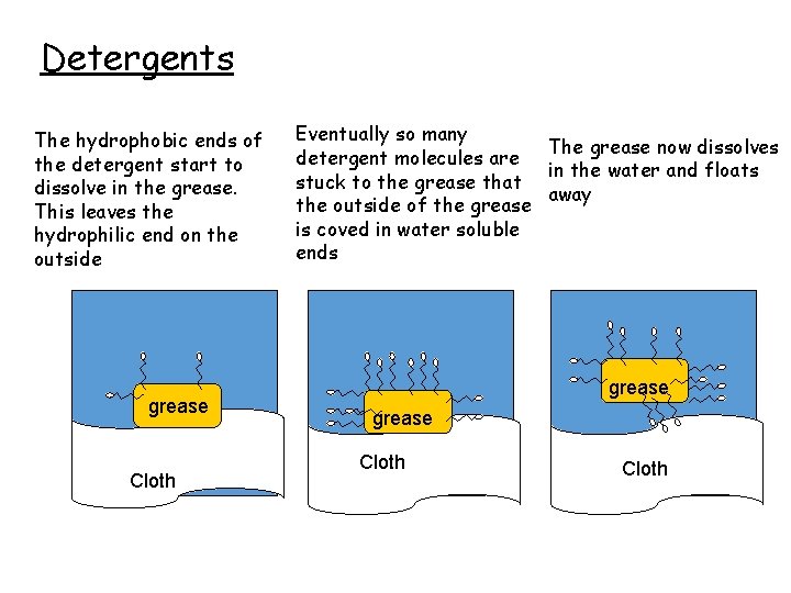 Detergents The hydrophobic ends of the detergent start to dissolve in the grease. This