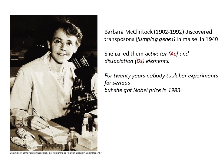 Barbara Mc. Clintock (1902 -1992) discovered transposons (jumping genes) in maise in 1940. She