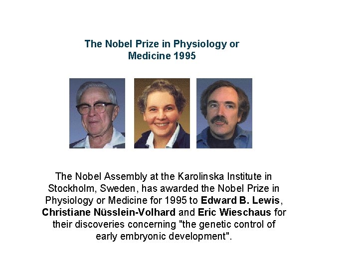 The Nobel Prize in Physiology or Medicine 1995 The Nobel Assembly at the Karolinska