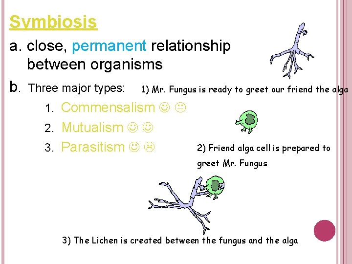 Symbiosis a. close, permanent relationship between organisms b. Three major types: 1) Mr. Fungus