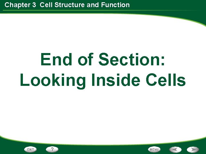 Chapter 3 Cell Structure and Function End of Section: Looking Inside Cells Chapter 3 Cell Structure and Function End of Section: Looking Inside Cells