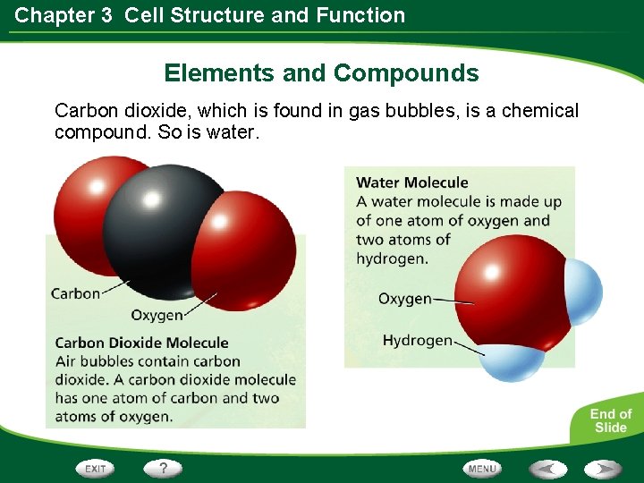 Chapter 3 Cell Structure and Function Elements and Compounds Carbon dioxide, which is found Chapter 3 Cell Structure and Function Elements and Compounds Carbon dioxide, which is found