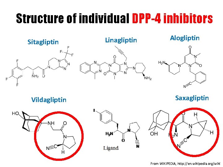 Structure of individual DPP-4 inhibitors Sitagliptin Vildagliptin Linagliptin Alogliptin Saxagliptin From WIKIPEDIA, http: //en.