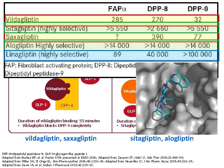 Substrate-like binding vs Competitive binding Substrate-like enzyme blocker GLP-1 Competitive enzyme inhibitor GLP-1 Vildagliptin
