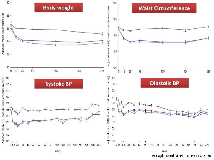 Body weight Waist Change of Hb. A 1 c comparing to. Circumference placebo -0.